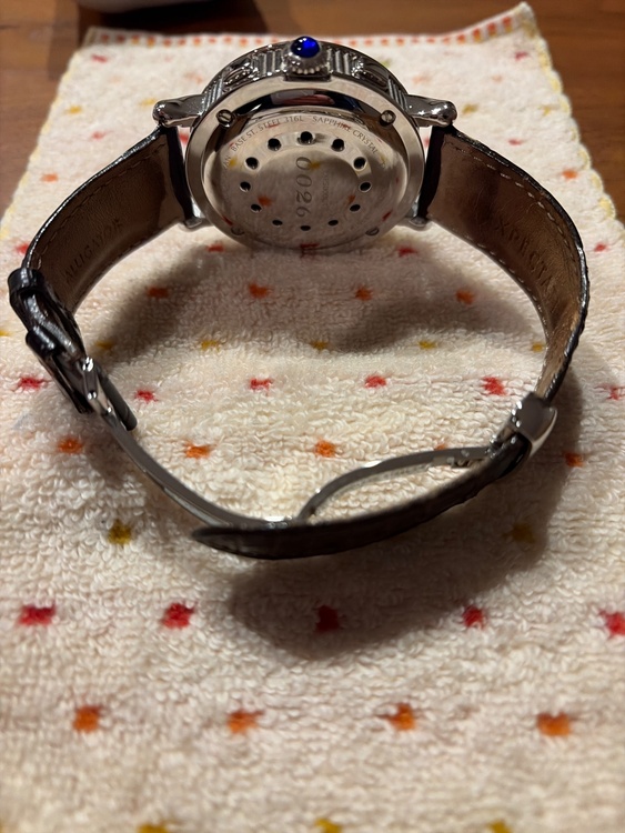 その他 その他 GSX  EXP5000Gt（高級時計）の商品画像 - 査定依頼日：2026年3月25日 - 最高査定価格：24,000円