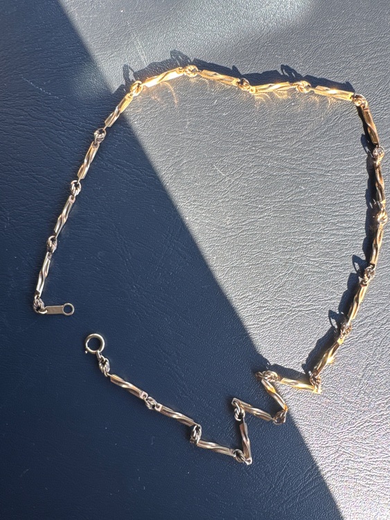 ネックレス（金・貴金属）の商品画像 - 査定依頼日：2025年11月22日 - 最高査定価格：300,000円