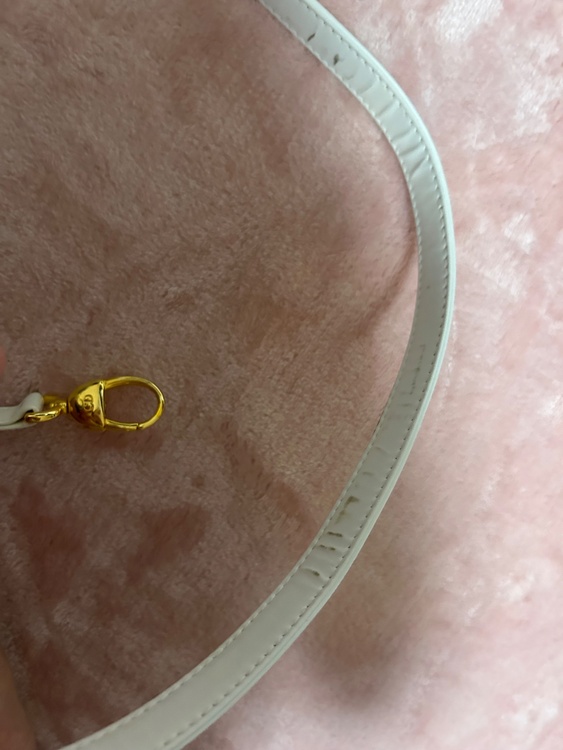 レディディオール2way（ブランドバッグ）の商品画像 - 査定依頼日：2026年2月19日 - 最高査定価格：140,000円