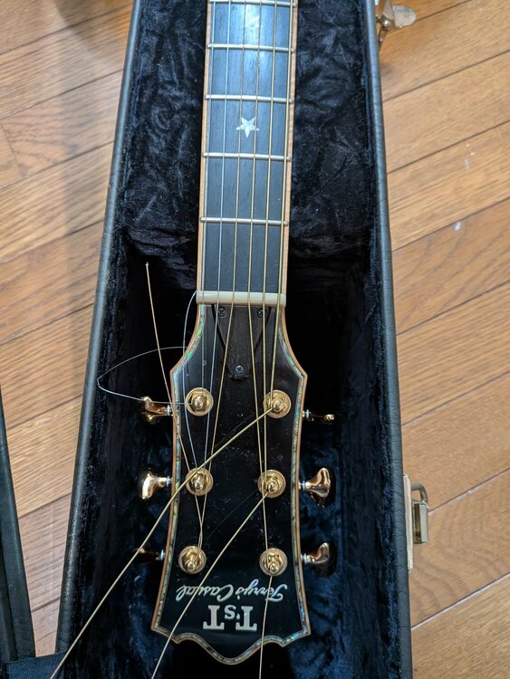 テリーズ・テリー　カジュアル　TC-M7　Cataway（ピアノ・楽器・PA機材）の商品画像 - 査定依頼日：2026年7月3日 - 最高査定価格：480,000円