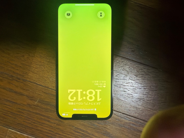 iPhone 12 Pro Max 256GB docomo（スマホ）の商品画像 - 査定依頼日：2026年5月16日 - 最高査定価格：45,000円