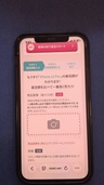 iPhone iPhone 12 Pro 256GB 楽天モバイル（スマホ）の商品画像 - 査定依頼日：2026年9月21日 - 最高査定価格：29,000円