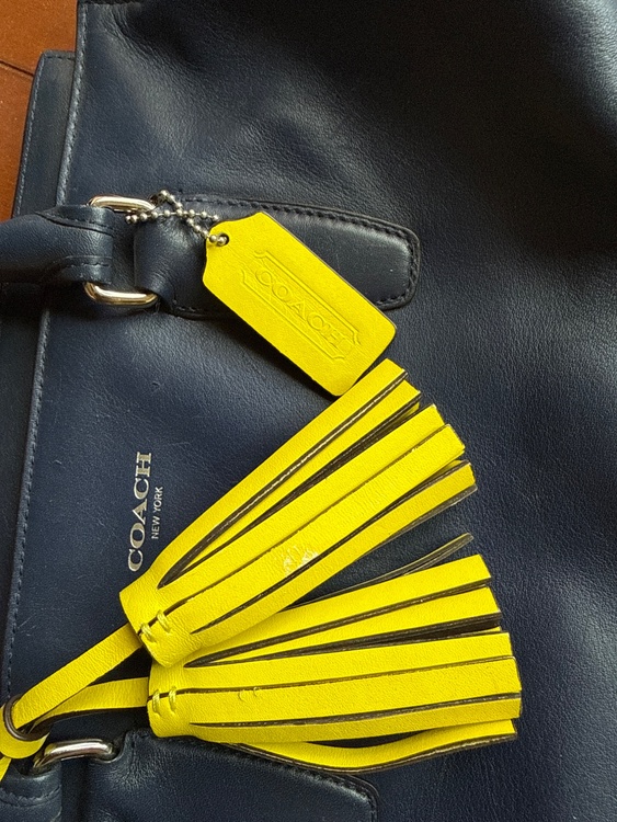 coach（ブランドバッグ）の商品画像 - 査定依頼日：2026年8月23日 - 最高査定価格：2,000円