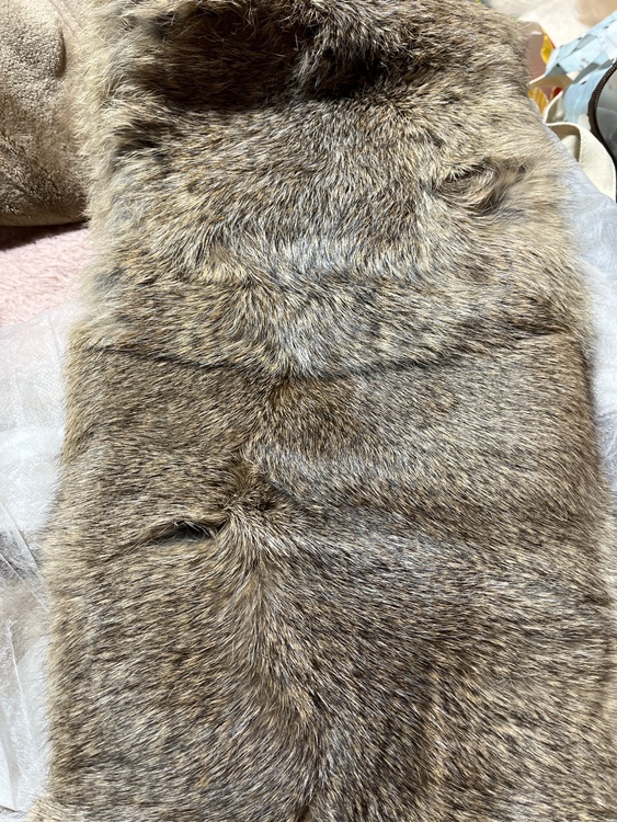 ルイヴィトン ルイヴィトン(その他) （ブランドバッグ）の商品画像 - 査定依頼日：2026年2月10日 - 最高査定価格：105,000円