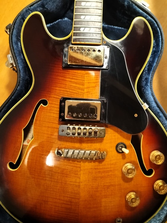 GRECO SV800 Super View（ピアノ・楽器・PA機材）の商品画像 - 査定依頼日：2026年2月2日 - 最高査定価格：120,000円