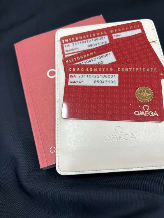 アクアテラ デイト（高級時計）の商品画像 - 査定依頼日：2023年11月15日 - 最高査定価格：380,000円