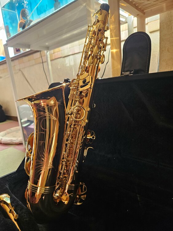 アルトサックス（ピアノ・楽器・PA機材）の商品画像 - 査定依頼日：2026年10月10日 - 最高査定価格：200,000円