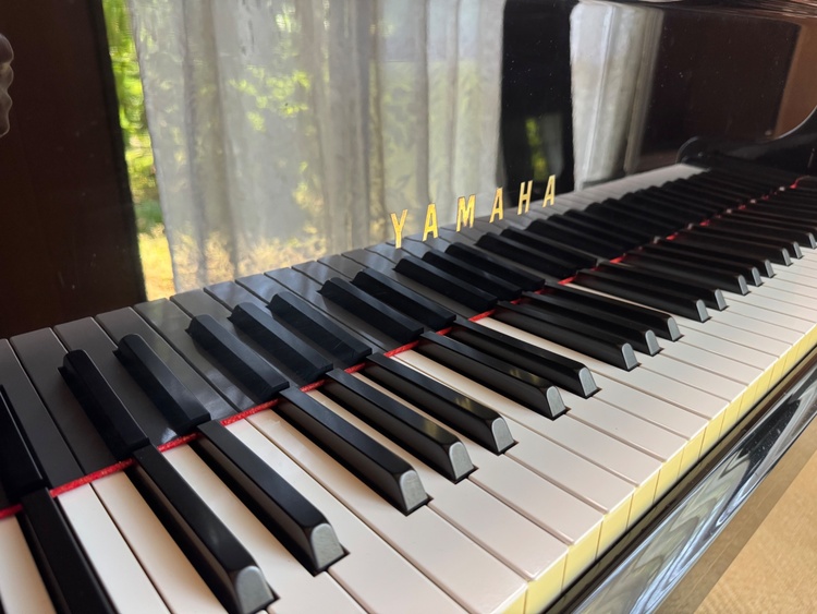 C5  3890942  （ピアノ・楽器・PA機材）の商品画像 - 査定依頼日：2026年1月21日 - 最高査定価格：10,000円