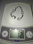 ネックレス（金・貴金属）の商品画像 - 査定依頼日：2026年1月31日 - 最高査定価格：124,836円