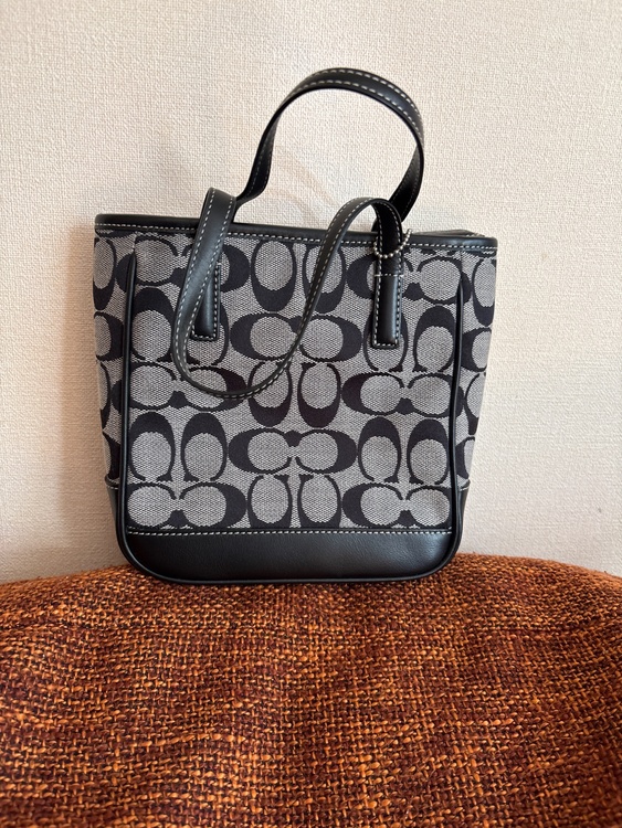 NoA1J-6087（ブランドバッグ）の商品画像 - 査定依頼日：2026年3月14日 - 最高査定価格：3,500円