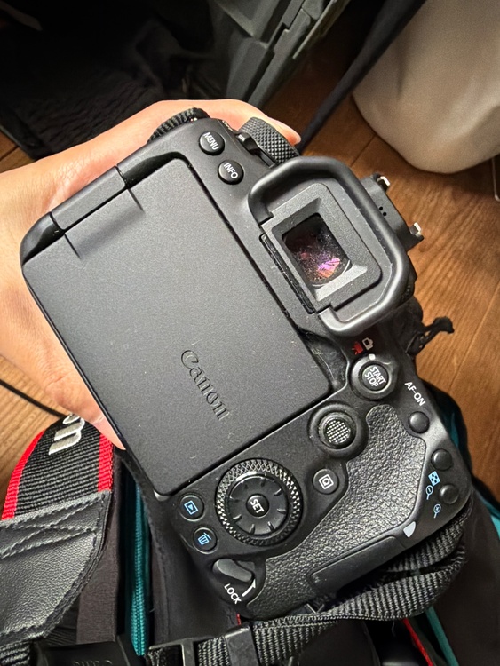 canon 90D（カメラ）の商品画像 - 査定依頼日：2026年6月2日 - 最高査定価格：80,000円