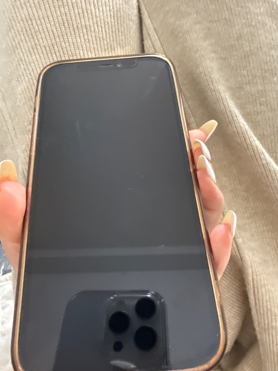 iPhone12 Pro（スマホ）の商品画像 - 査定依頼日：2026年2月10日 - 最高査定価格：31,000円