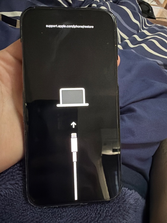 iPhone12 proMax（スマホ）の商品画像 - 査定依頼日：2026年5月16日 - 最高査定価格：30,000円