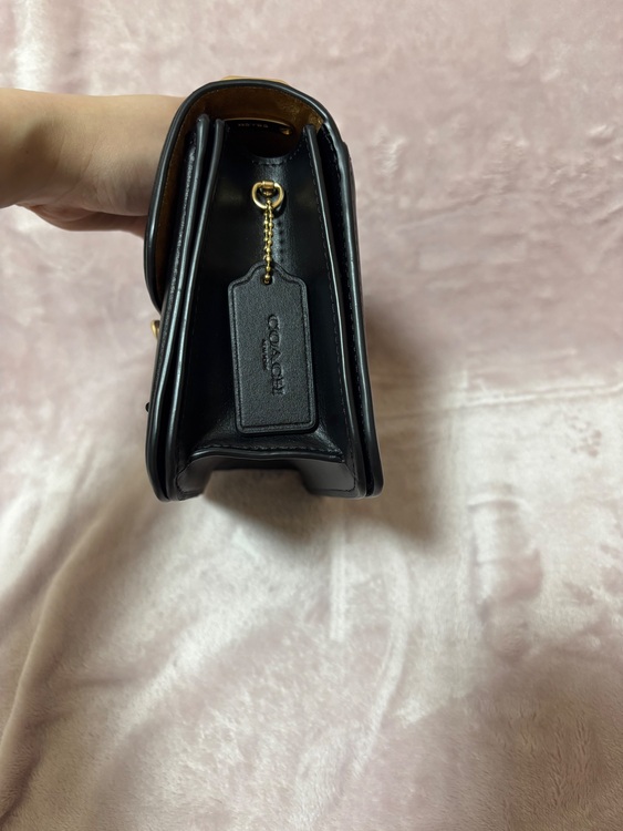 その他 コーチ （ブランドバッグ）の商品画像 - 査定依頼日：2025年6月5日 - 最高査定価格：5,000円