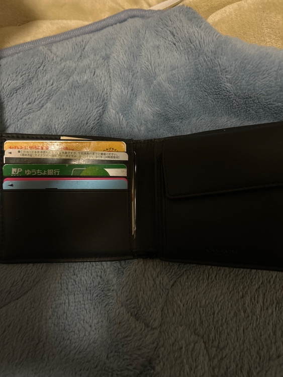 その他 コーチ （ブランドバッグ）の商品画像 - 査定依頼日：2026年3月26日 - 最高査定価格：1,500円