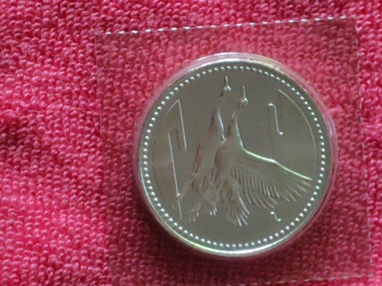 皇太子殿下ご成婚記念五千円銀貨（金・貴金属）の商品画像 - 査定依頼日：2026年7月30日 - 最高査定価格：100円